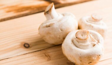 Paddenstoelen eten. Hoelang kun je champignons bewaren?