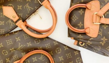 Louis Vuitton's Meest Populaire Tassen
