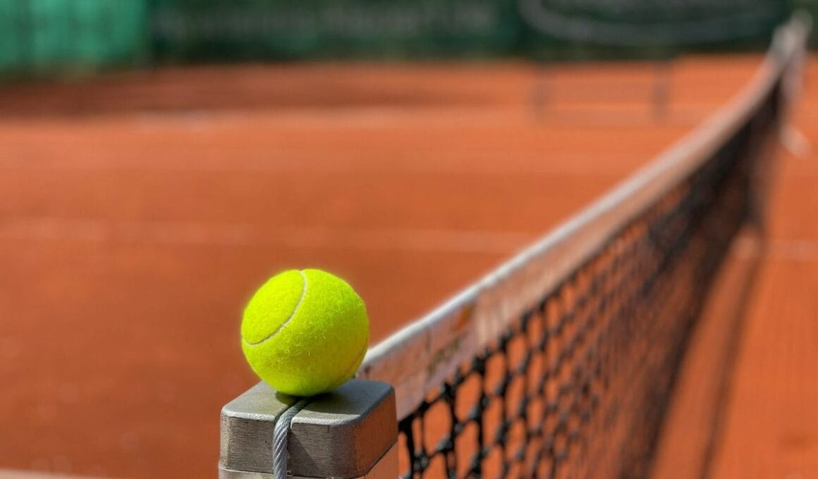 Het vermogen van Diede de Groot: wat verdient deze tennislegende?